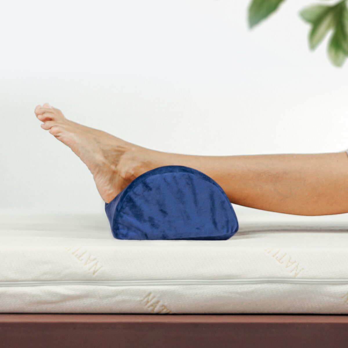 Natural Latex Bolster "Half Small" Blue